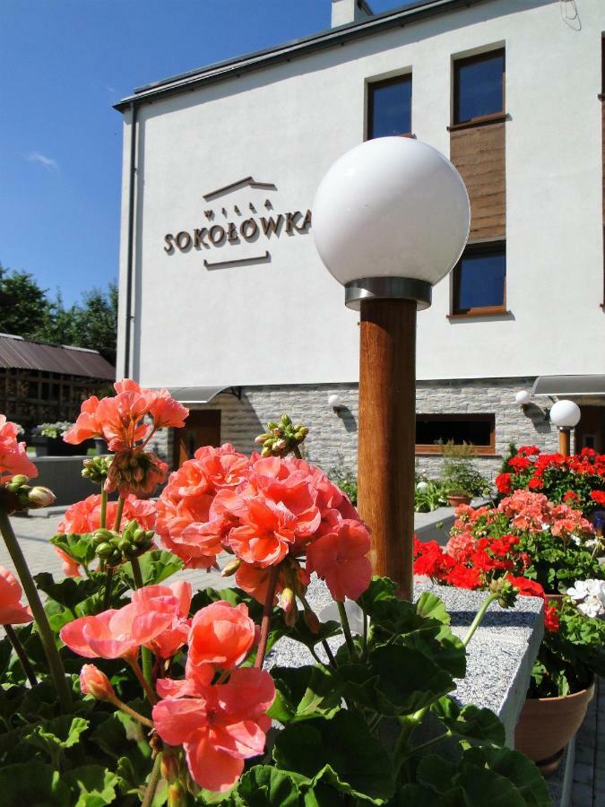 Willa Sokolowka Polanica-Zdroj Exterior photo